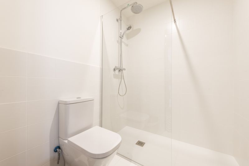 Minimalist Shower Space